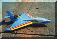 amphib_web.gif (114914 bytes)