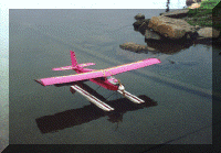 float_plane_1.gif (89691 bytes)