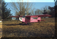 pink_cub_web.gif (117960 bytes)