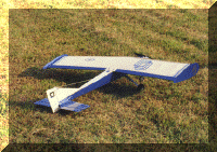 sport_1_web.gif (146036 bytes)