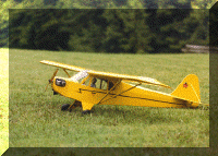 yellow_cub_web.gif (108196 bytes)