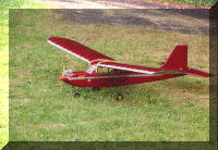013untitled3 copy.gif (251613 bytes)