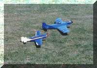 untitled19 copy.gif (148384 bytes)
