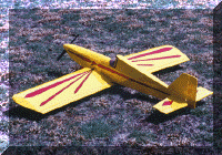 untitled51 copy.gif (138152 bytes)