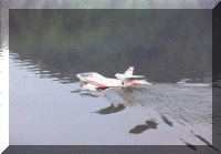 amphib_1.gif (112418 bytes)