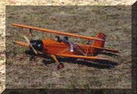 bipe_2.gif (135095 bytes)