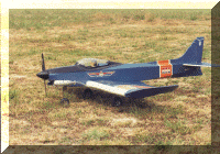 unknown_6.gif (125463 bytes)